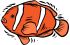 Tropical & Saltwater Fish