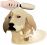 Pet Grooming
