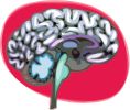 Neurology Physicians
