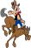 Rodeos