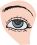 Ophthalmology