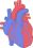Cardiology