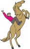 Horse Riding Schools & Instruction