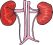 Nephrology Physicians & Surgeons