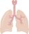 Pulmonary & Respiratory Physicians & Surgeons