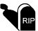 Wrongful Death