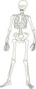 Orthopedics Physicians