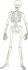 Orthopedics Physicians