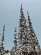 Watts Towers